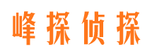 合山市场调查